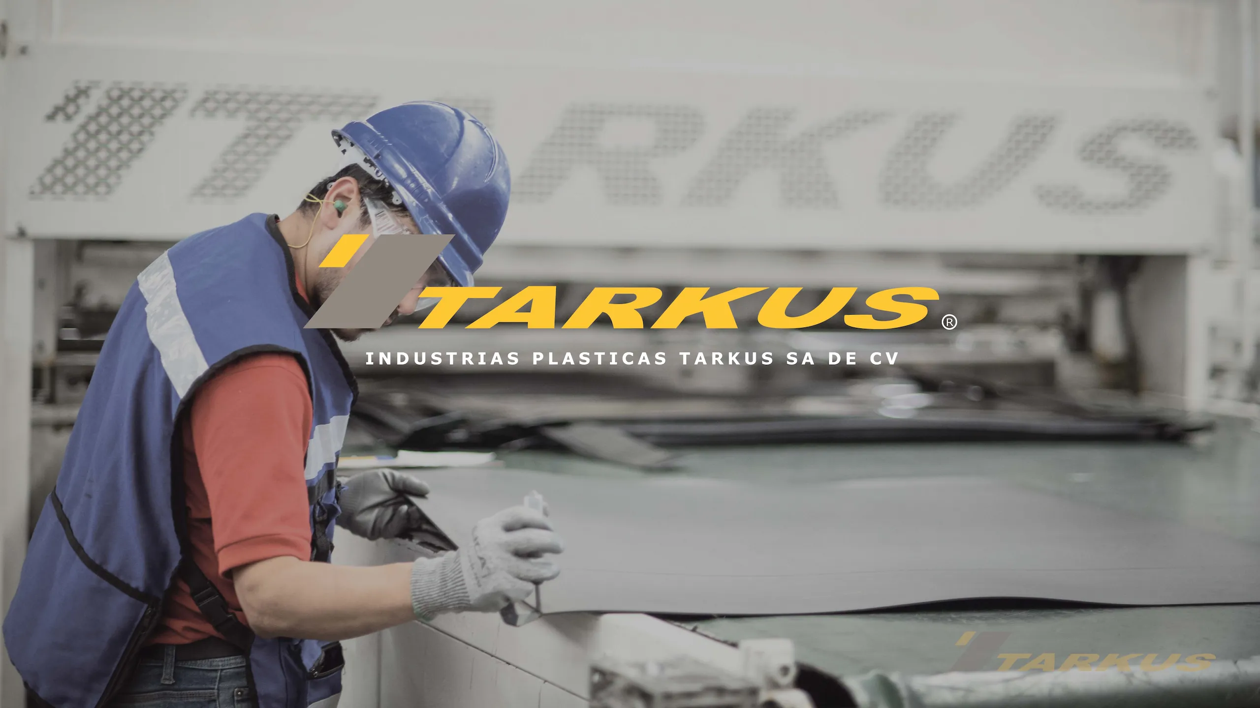 Líneas de producción y control de calidad en planta